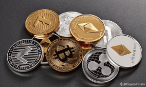 How to Report Your Crypto Gains to the IRS